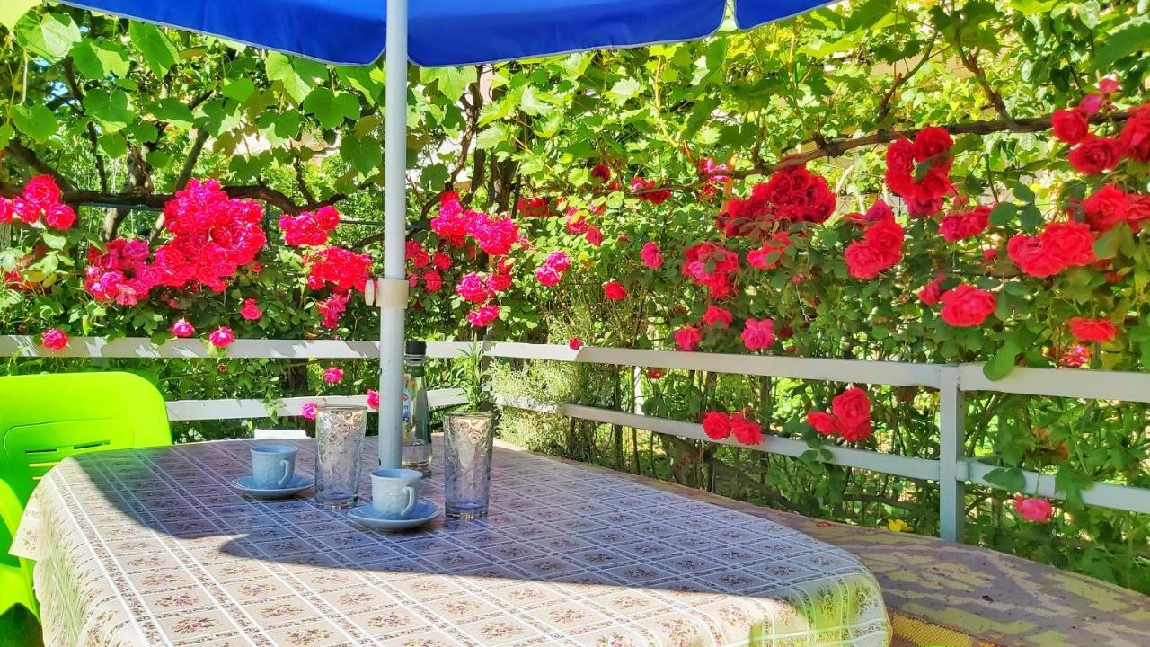 Guest House Pogradeci エクステリア 写真